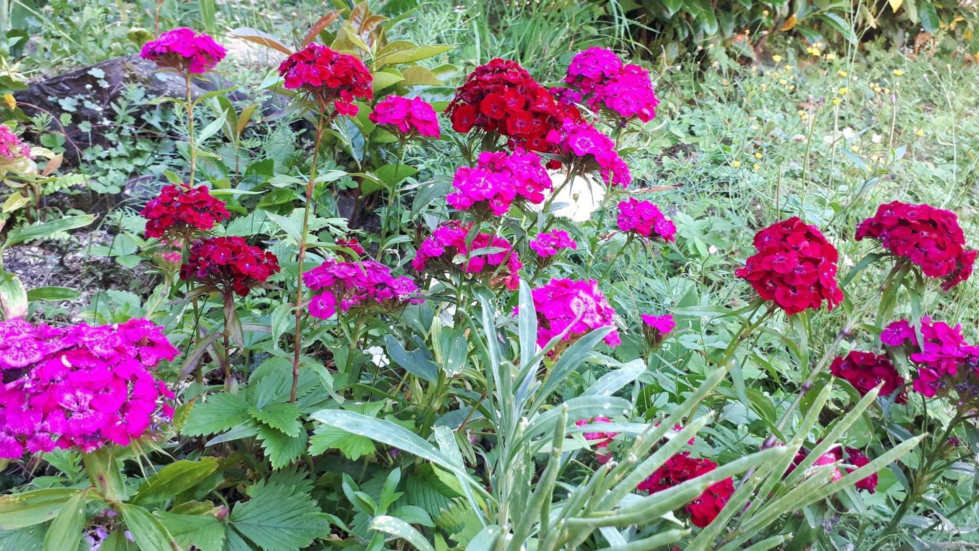 Un Jardin Secret Bed & Breakfast Yzeron Eksteriør bilde