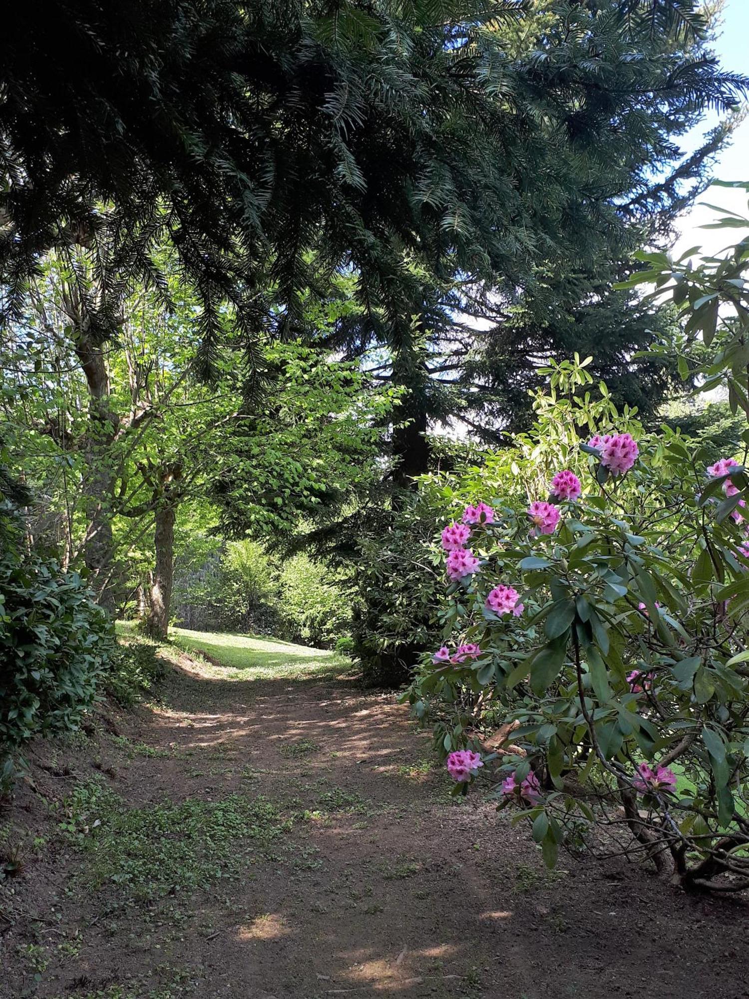 Un Jardin Secret Bed & Breakfast Yzeron Eksteriør bilde